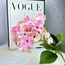 53^75ƬcҾb滨򻨽廨