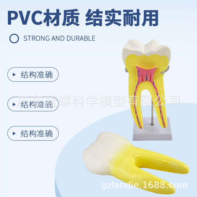 ����ĥ������ģ�� �׶�԰�̾�ҽѧ��ѧ��������ͨ�� �����֧��