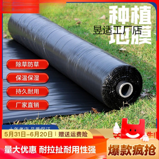Agricultural Thickened Greenhouse Thermal Insulation and Moisturizing Black Plastic Film Planting Anti-Insect Film New Material Berry Special Film Rice