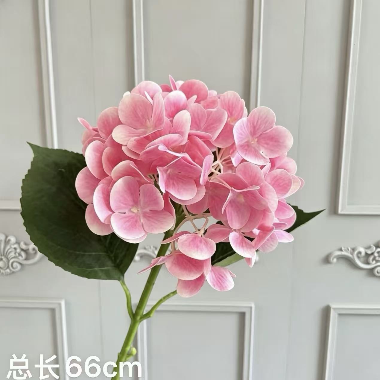 핑크 필름 수국