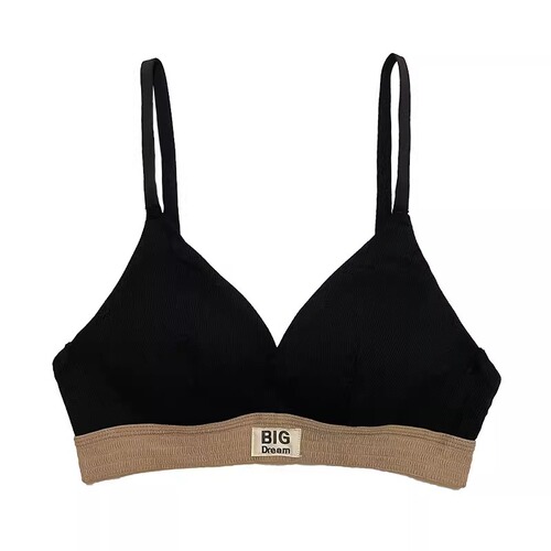 French triangle cup bra for women, comfortable push-up big breasts, small letter print, no rims, beautiful back bra