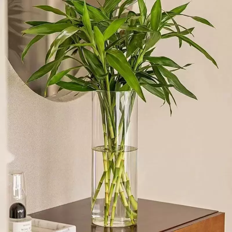 厂家批发玻璃花瓶桌面微景观水培植物花瓶富贵竹高级感直筒玻璃瓶