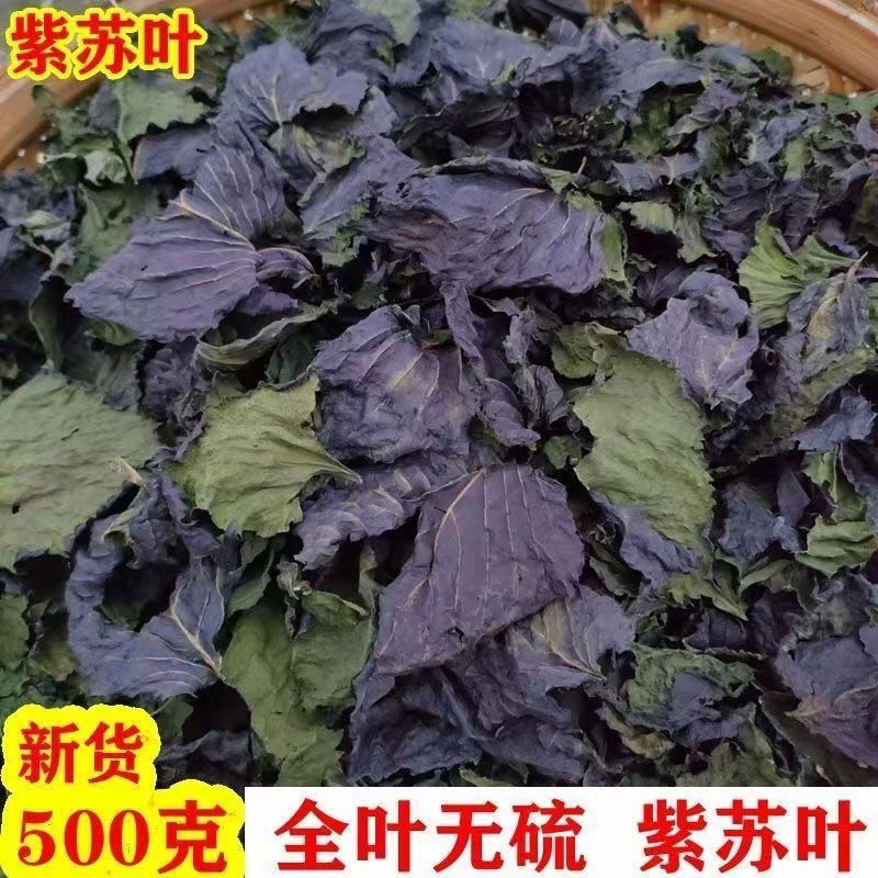2024年新货野生紫苏叶干食用材新鲜晒干干货烧鱼虾蟹去腥批发直销