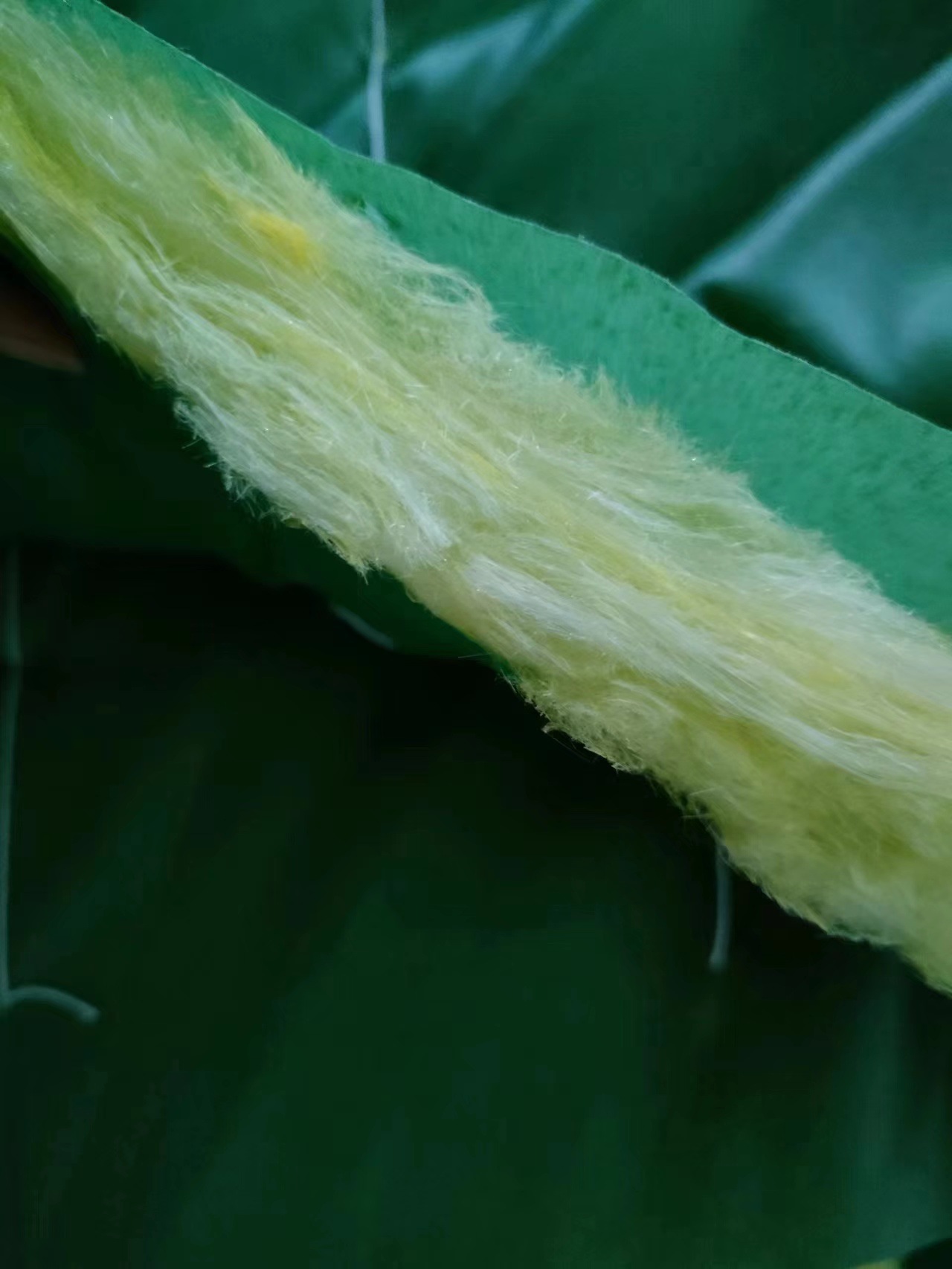 微信图片_20240929171203