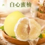 漳州福建代发应季鲜柚