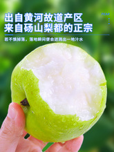 �������rˮ���Xɽ����ʹ��殔����������ִ�����ѩ��������]