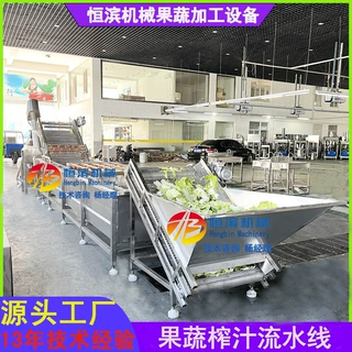 中药材人参清洗榨汁生产线果蔬榨汁整套加工流水线