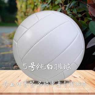 Professional signature painting pure white No.5 soft volleyball male and female college students training test ball can be