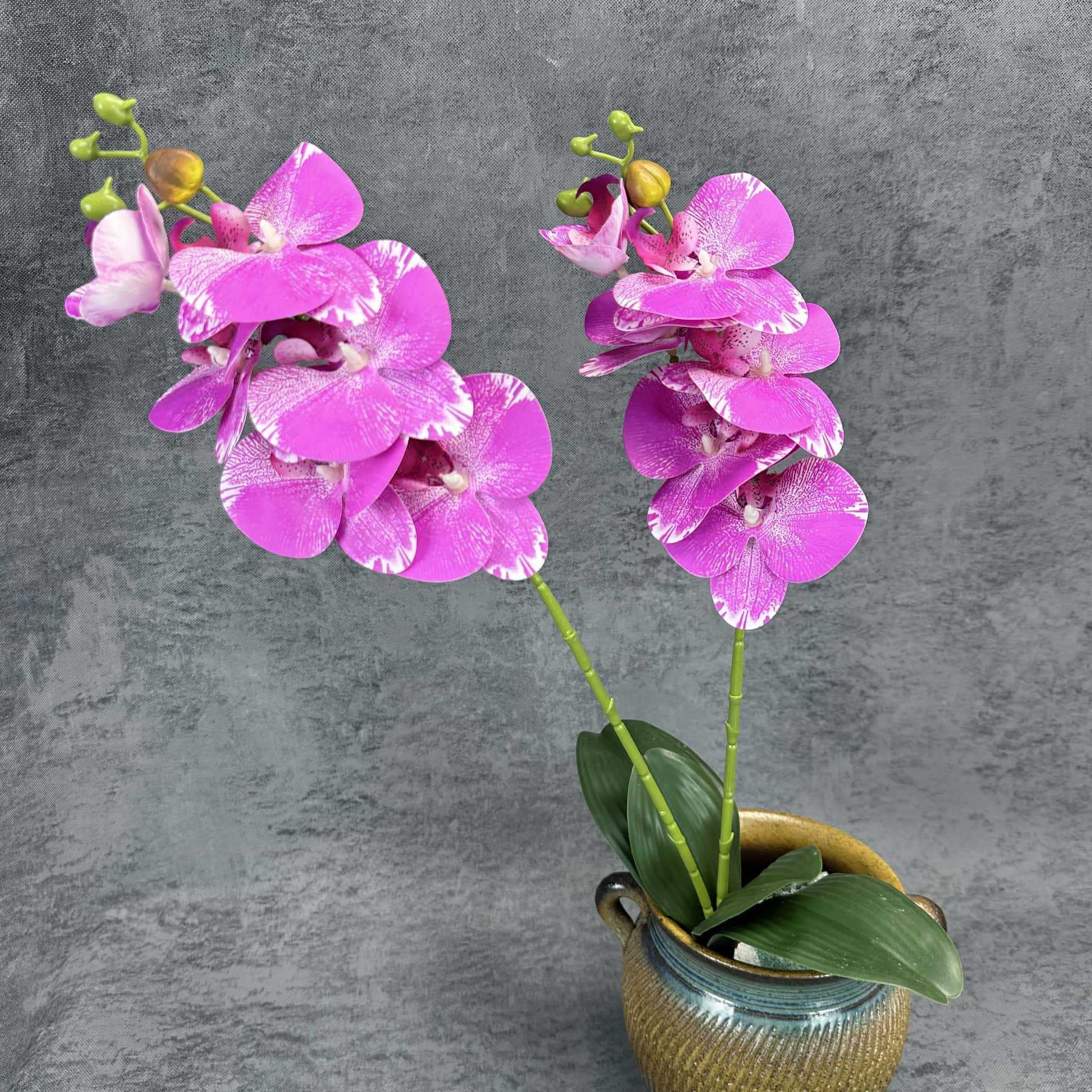 Simulación de 2 horquillas 12 mariposa orquídea PU sensación de flores falsas decoración del hogar decoración de boda props orquídea adornos al por mayor