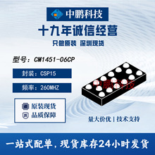 热销仙童 CM1451-06CP 封装CSP15 EMI 滤波器电路 260 MHz 原装