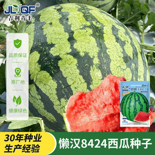 �Нh������8424���ϷN���ѳ���߮a���챡Ƥ�������N�ӹϹ��N��