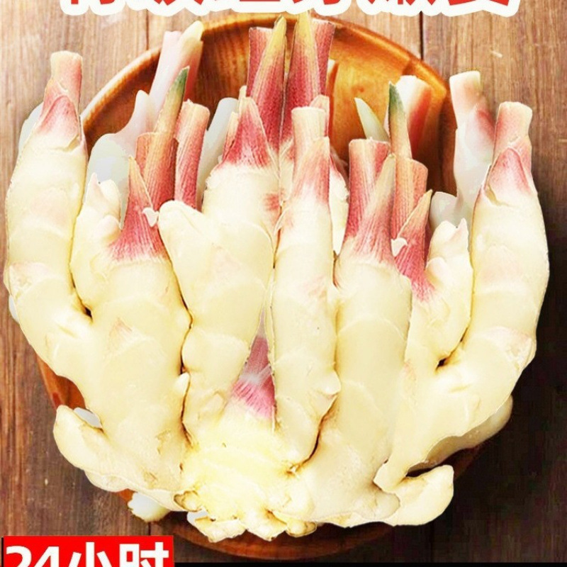 嫩姜新鲜大仔姜子姜山东红芽生姜种子5斤云南小黄糖醋老姜混发