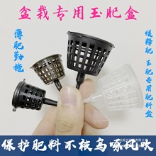 ʺзŷϊWGጷʺʩʺձֲʩʷֹBL