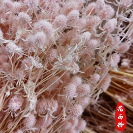 干花;永生花;仿真花