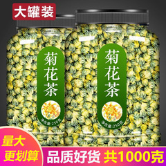 菊花茶胎菊王500g桐郷特級白菊杭乾花公式旗艦店貢菊野杭菊