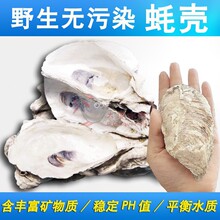 򺚤�V���~�،����\����ĵϠ����򺚤�~��ؐ����Ϡ����ˮ�^�V����