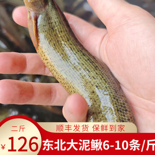 ʮ���������|�������q�~�����q�~���w�ك���ˮ�_���~