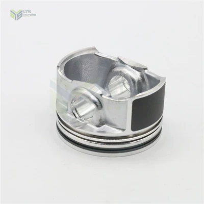 55580184 55565420, Piston, piston ring, piston pin