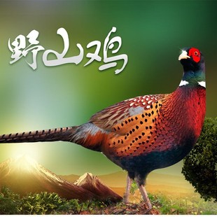 ����ɢ�B��Ʒ�|�߲�ɽ�u�r��|�J���u���w