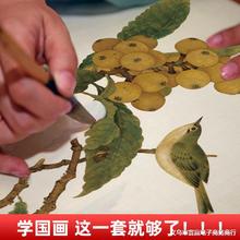 中国画白描描摹本 工笔画白描底稿临摹画册 山水花鸟国画白描线稿