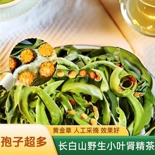长白山黄金草正品肾精茶泡水喝野生肾精草中药材养生东北嗷嗷叫茶