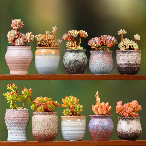 Wholesale succulent flower pot ceramic wholesale large diameter stoneware succulent plant combination pot for street stall supply one piece dropshipping