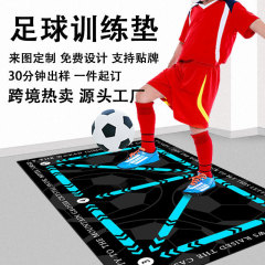 メーカーはサッカーのトレーニングマットを直接送っています。