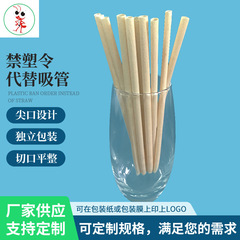 使い捨ての天然竹粉ストローは、使い捨てストローの代わりに環境にやさしいストローを禁止します。