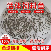 �_�ڻ��w����~��С�~��ι�������ǿ������~�_�h�{�����wʳ�D���~