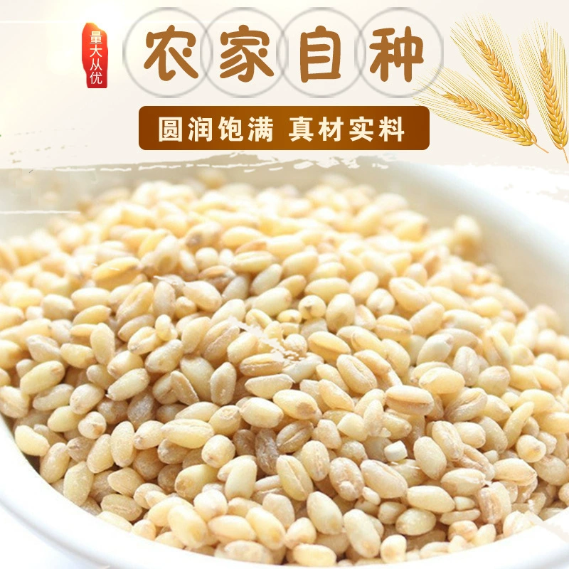 Разное зерновое сырье ячмень на складе