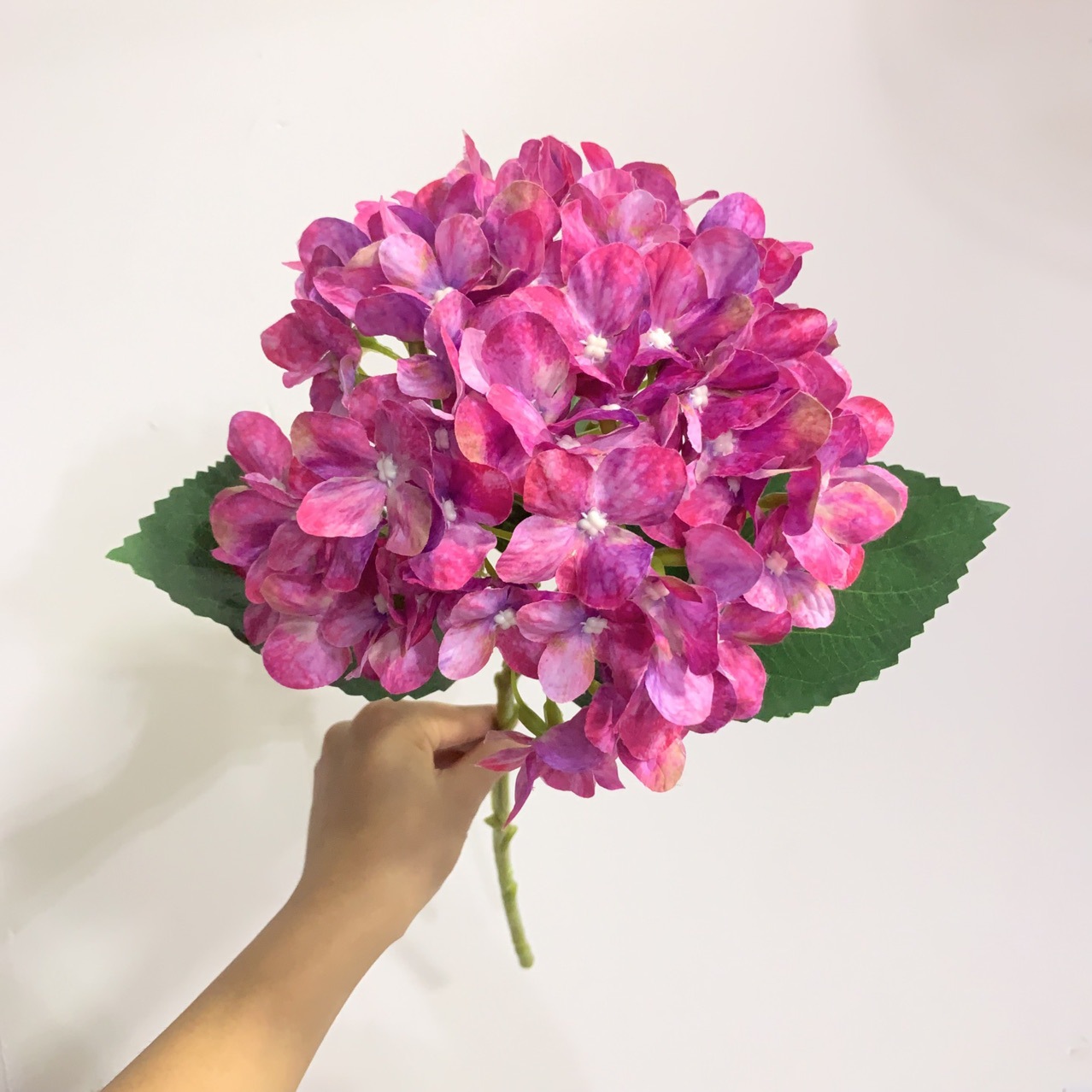 레트로 핑크