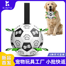 2026�¿�羳�������������ҧ�␞С����Ȯ���Ӂ��R�d�������