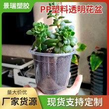 透明花盆塑料花盆育苗盆3.3.5英寸5英寸6英寸7英寸厂家批发4”5“