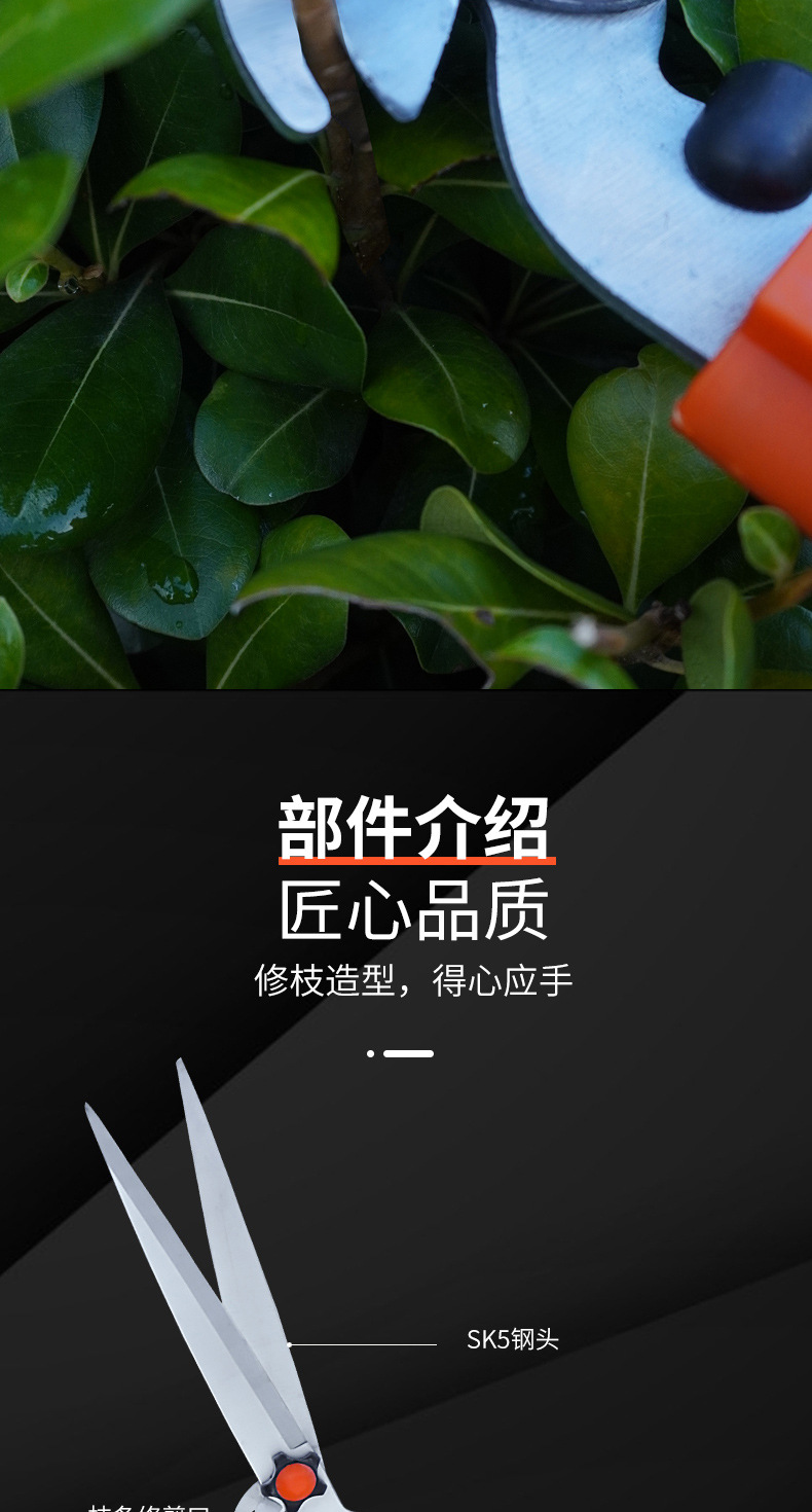 详情-4.jpg