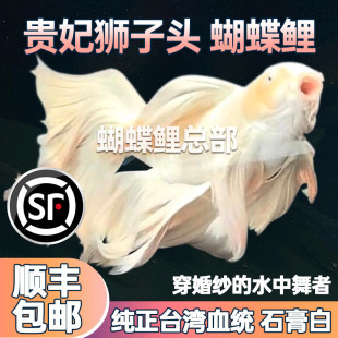 ���N̨���������~���B�ͻˮ��ˮ�^�p�~���~�\����β�������w