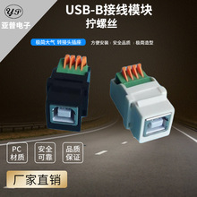 厂家供应美标安普口面板转接头USB-B母型打印机母座拧螺丝模块