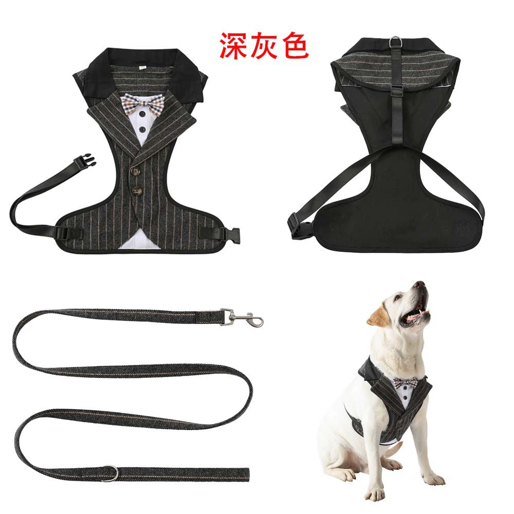 Новая шлейка для собак для крупных, средних и мелких пород, одежда для собак для бишон фризе, тедди, померанского шпица, стильный поводок для собак.