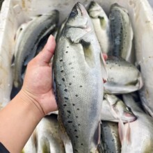 ��឴��|�~�r�����������~���Ǻ��|�~���r���r������R�~