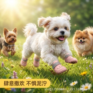 狗狗鞋子夏季狗鞋EVA宠物鞋子耐磨跨境柯基博美中小型犬穿坏包赔