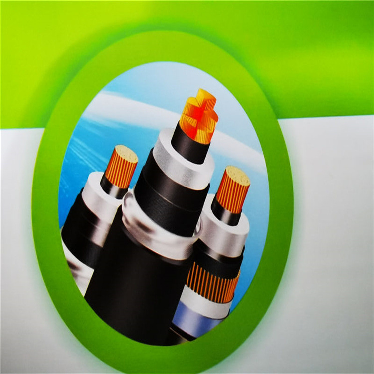 110千伏 阻燃电缆 1*630发货地