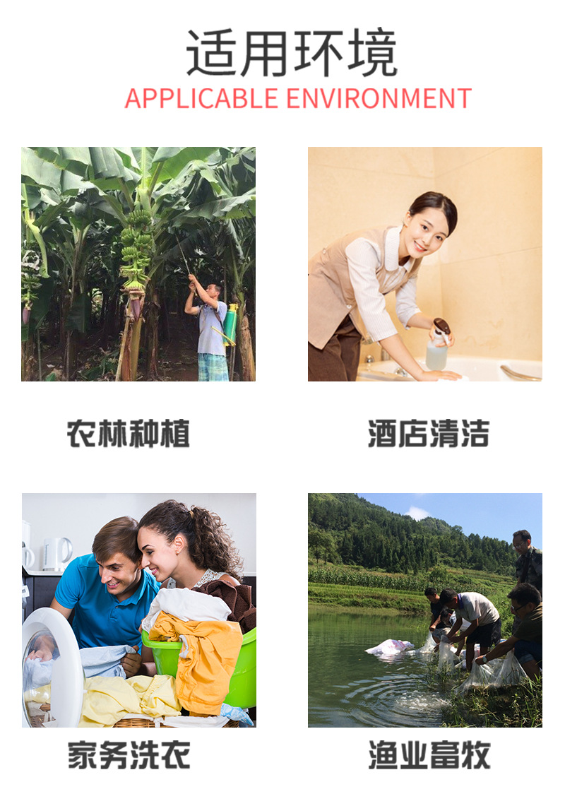 最后的模板_01