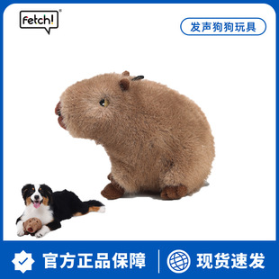 �w��fetch��ˮ��С�� ����ë�q�l�������ҧ������������␞��