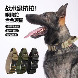 狗狗牵引;狗狗服装;宠物项圈