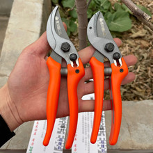 ������806�@�ּ� ʡ���� �@ˇ���@��֦���� ��֦�� �ޘ�֦ ��֦��