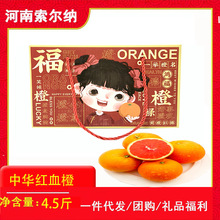 中华红血橙礼盒新鲜水果当季整箱红心橙子红血橙一件代发团购批发