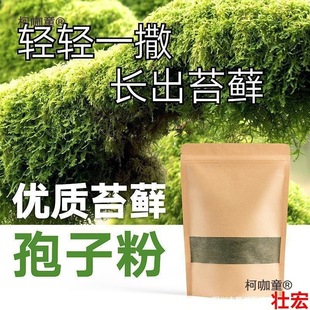 ̦�\�N�ӷ�ĩ��ˮʯ��ɽ��ˮʯ�辰���r����̦�N��̦�\������̫��