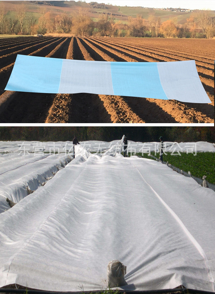 O1CN01TOkiuf1bWgVmmyaMT_!!2924243473-0-cib.jpg?__r__=1722235865917