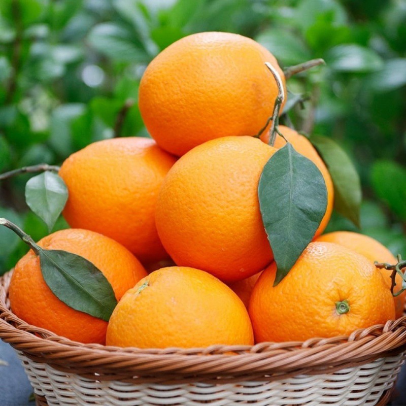 Orange fresh Orange Season fruit Hand stripping Rock sugar Jiangxi Province Gannan Navel Full container Trade price Juicing