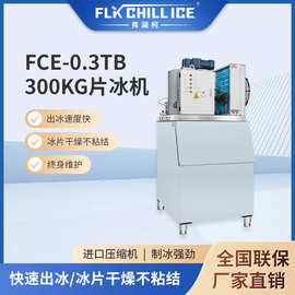 FCE-0.3TB 300KG片冰机工业降温压缩机冰片机厂家批发商业制冰机