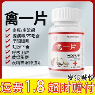 �u��ȫ����һƬ�B�uș�u����ð������ϡ�����u���Z����uș��ș